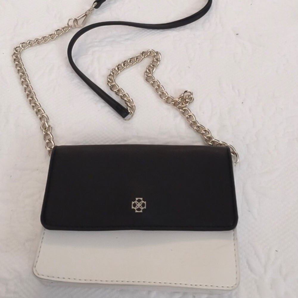 Ann Taylor Crossbody Bag